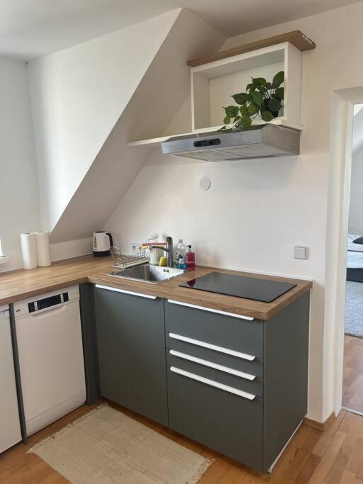 Cozy City Center Apartment Graz Extérieur photo